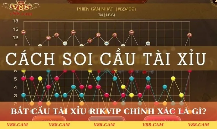 cach bat cau tai xiu rikvip chinh xac la gi Cách bắt cầu tài xỉu Rikvip chính xác là gì?