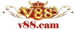 V88.CAM